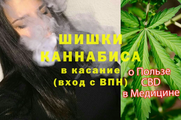 соль ск Верхний Тагил