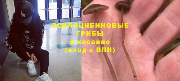 а пвп мука Верея