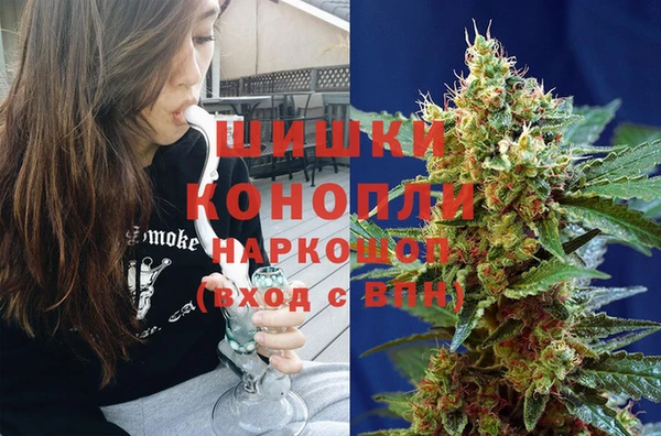 соль ск Верхний Тагил