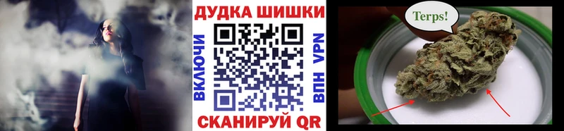Шишки марихуана семена  Дмитров 